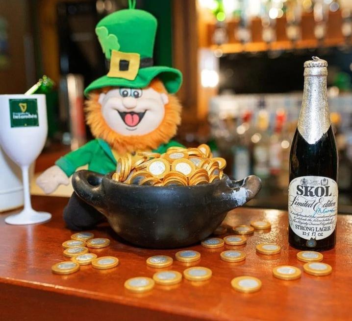 Pousada Do Irlandes Pirenópolis エクステリア 写真